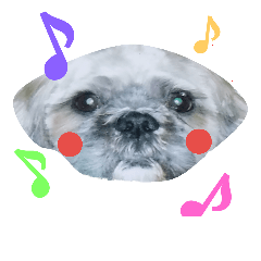 [LINEスタンプ] Carol of a Shih Tzu dog