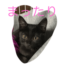 [LINEスタンプ] クロッコの日常生活