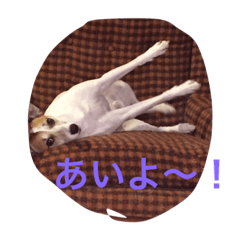 [LINEスタンプ] JRT al jet good