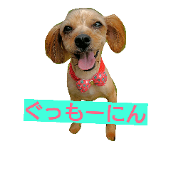 [LINEスタンプ] くう氏