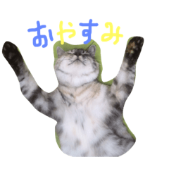 [LINEスタンプ] まりんの日常会話