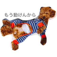 [LINEスタンプ] とらまつ①