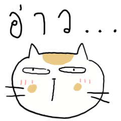 [LINEスタンプ] Chubby Cat MaoMao V3