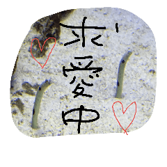 [LINEスタンプ] 使えるあいさつ