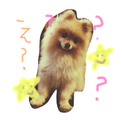 [LINEスタンプ] ポメラニアン大和のスタンプ