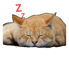 [LINEスタンプ] Street cats 3