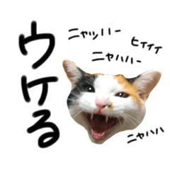 [LINEスタンプ] わがまま みぃぼ