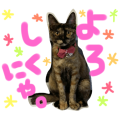1チワワ2にゃんこ