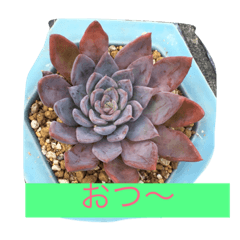 [LINEスタンプ] 優しい