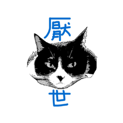 [LINEスタンプ] Tammy's cat house
