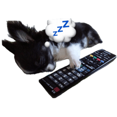 [LINEスタンプ] ネムチワワ