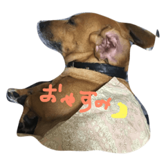 [LINEスタンプ] モモと愉快な仲間たち 2