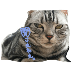 [LINEスタンプ] うちのむぎこ。