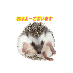 [LINEスタンプ] Mello's