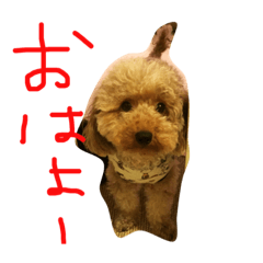 [LINEスタンプ] たむらこむぎ