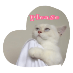 [LINEスタンプ] Jujai