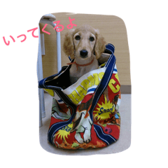 [LINEスタンプ] 我が家の娘達スタンプです