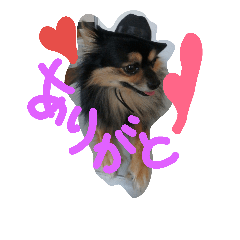 [LINEスタンプ] 愛犬ロック