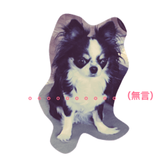 [LINEスタンプ] チワワの花子さん