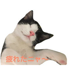 [LINEスタンプ] はちとあんこ