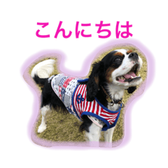 [LINEスタンプ] マメとあずき 2