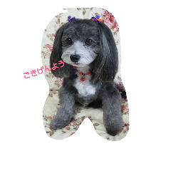 [LINEスタンプ] ぱぴぷー