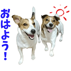 [LINEスタンプ] ジャックのれおろび♡