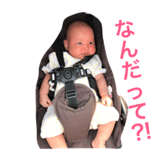 [LINEスタンプ] 天使たちの日常スタンプ