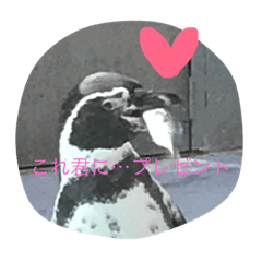 [LINEスタンプ] 動物さんの行動