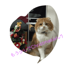[LINEスタンプ] torano kimochi