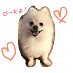 [LINEスタンプ] ポメラニアンぴー