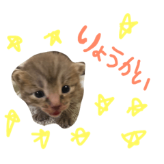 [LINEスタンプ] mugigi