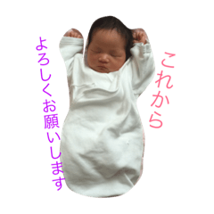 [LINEスタンプ] cansaraa