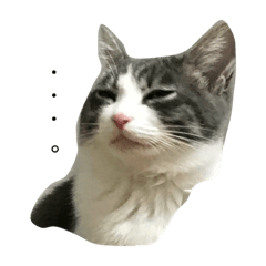 [LINEスタンプ] みっち