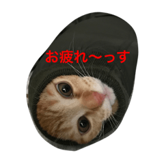 [LINEスタンプ] souji2