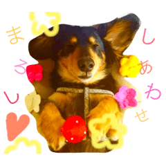 [LINEスタンプ] まろし 2