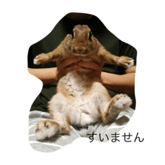 [LINEスタンプ] チャッちゃん