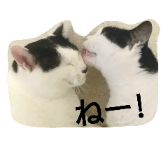 [LINEスタンプ] うちの子4にゃん