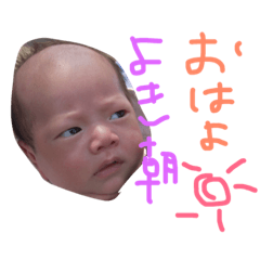 [LINEスタンプ] がくちんスタンプ