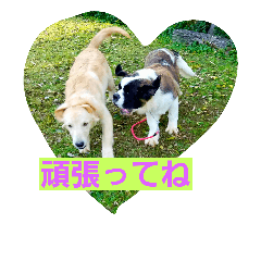 [LINEスタンプ] ROYAL ROAD3