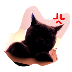 [LINEスタンプ] I'm Amour.