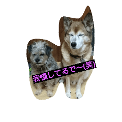 [LINEスタンプ] Fanny voice