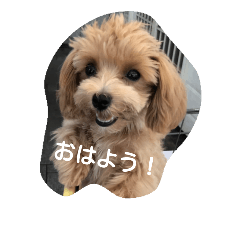 [LINEスタンプ] ruru stamp1