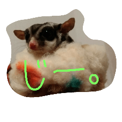 [LINEスタンプ] ハムモモ時々ねこ