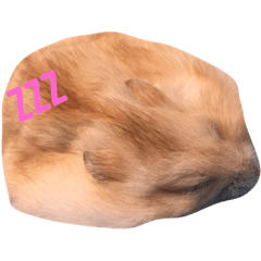 [LINEスタンプ] ハムと一緒！
