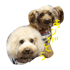 [LINEスタンプ] 日常の挨拶♪