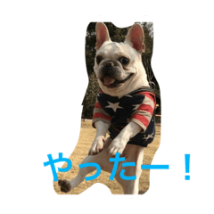 [LINEスタンプ] ポコゴン