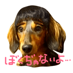 [LINEスタンプ] ロイたんすたんぷ②
