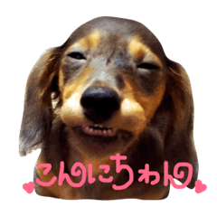 [LINEスタンプ] ロイたんすたんぷ①