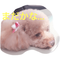 [LINEスタンプ] ノンノちゃんの日常